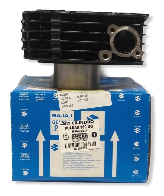 Cilindro original Bajaj para motocicleta Pulsar 180 UG referencia DJ101371 - Electromotors